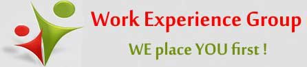 Workexperience Group Logo